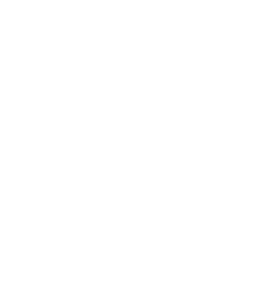 logo-ph-footer-1